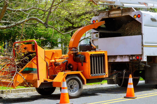 Best Firewood Processing and Delivery  in Stockton University, NJ