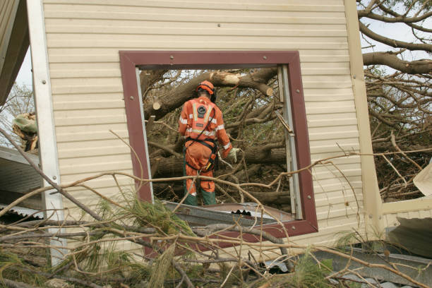 Best Tree Removal  in Stockton University, NJ