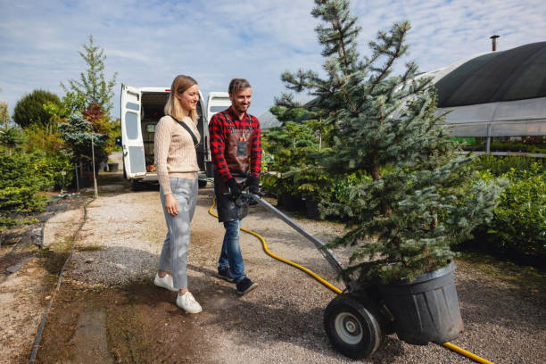 Best Lawn Watering Services  in Stockton University, NJ